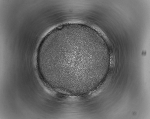 X0000101980436200808011103