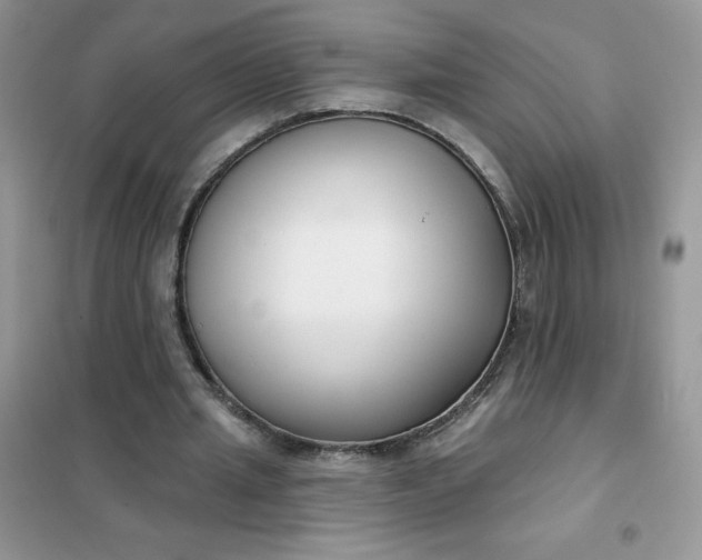 X0000101980437200808011103