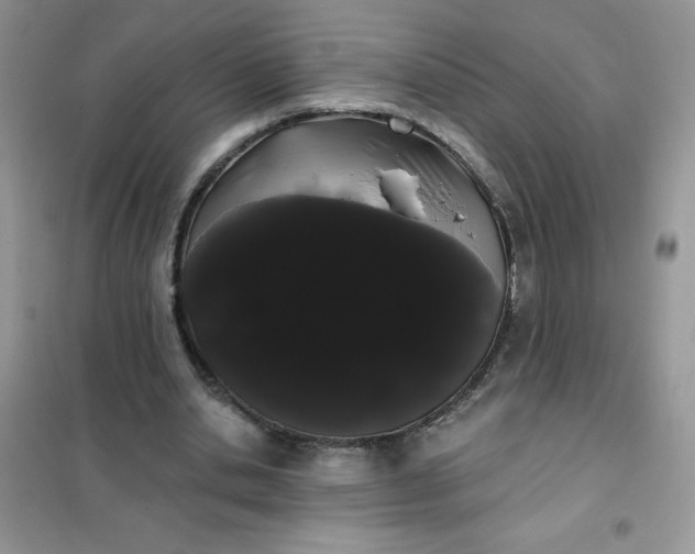 X0000101980438200808011103