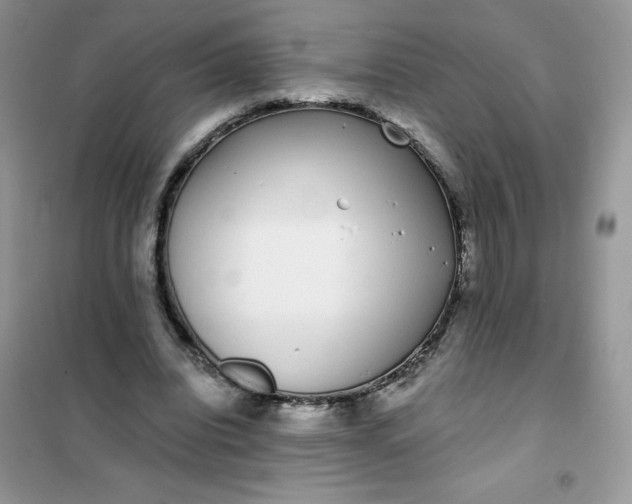 X0000101980440200808011103