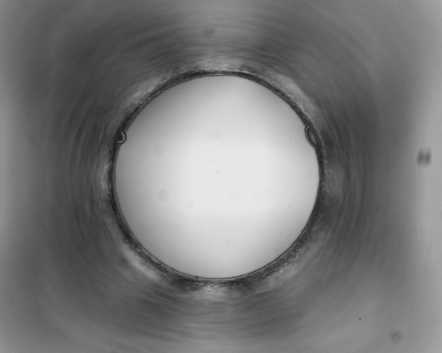 X0000101980441200808011103