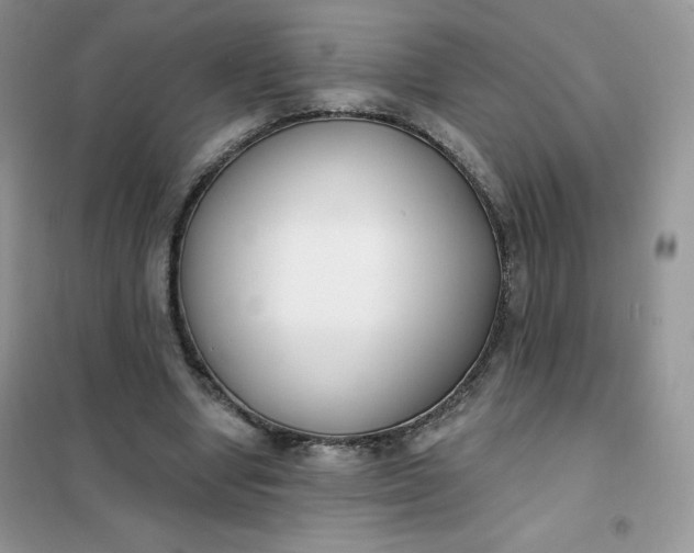 X0000101980442200808011103