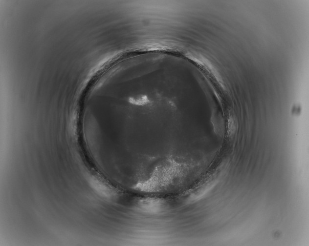 X0000101980444200808011103