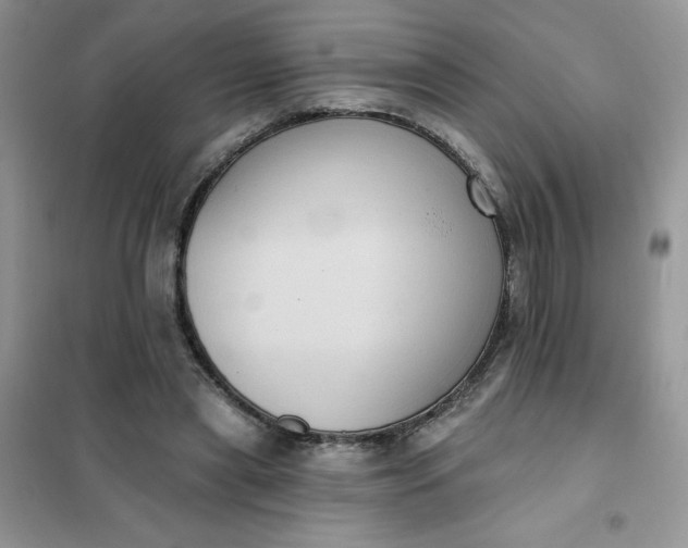 X0000101980445200808011103