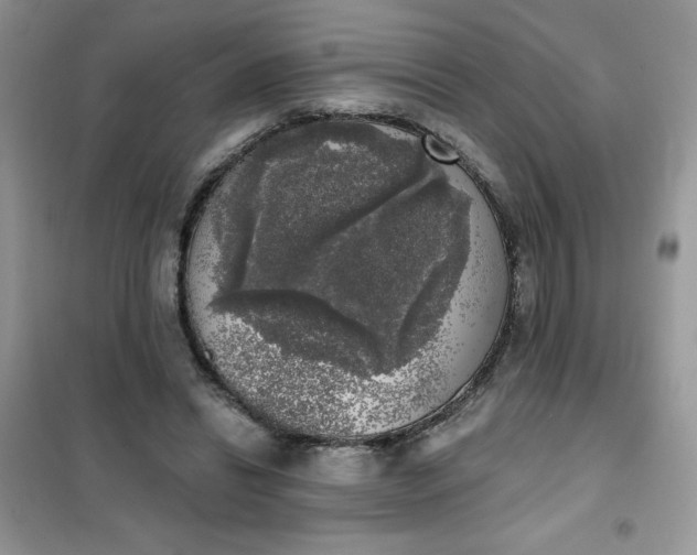 X0000101980446200808011103