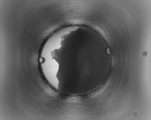 X0000101980447200808011103