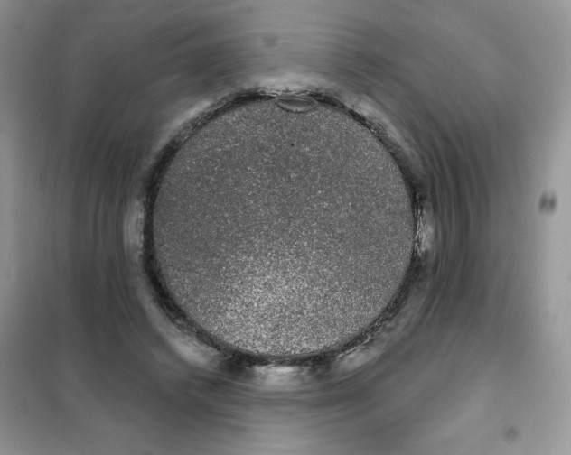 X0000101980448200808011103