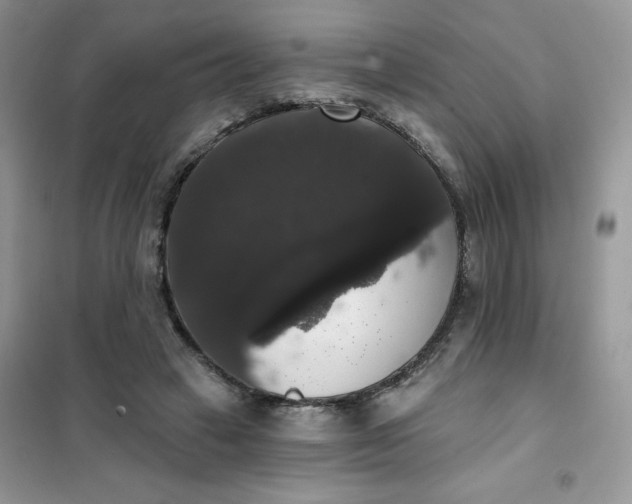 X0000101980449200808011103