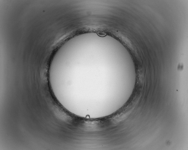 X0000101980450200808011103