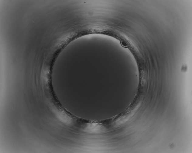 X0000101980451200808011103