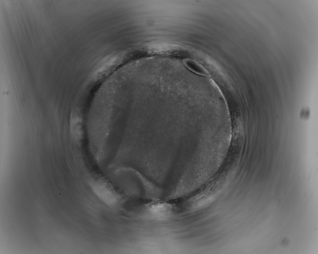 X0000101980452200808011103