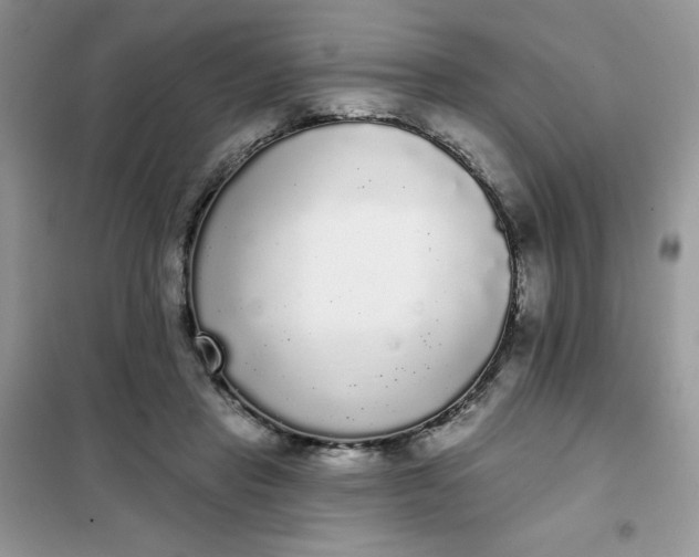 X0000101980453200808011103