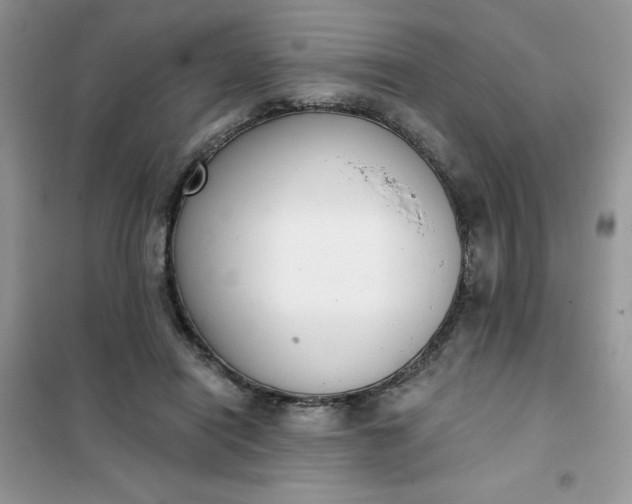 X0000101980454200808011103