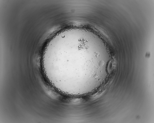 X0000101980456200808011103