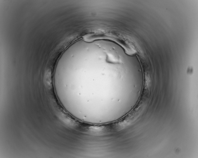 X0000101980457200808011103