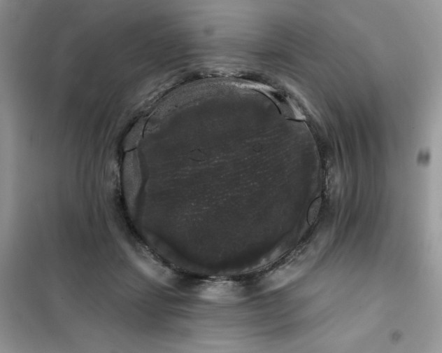 X0000101980459200808011103