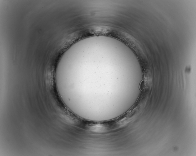 X0000101980460200808011103