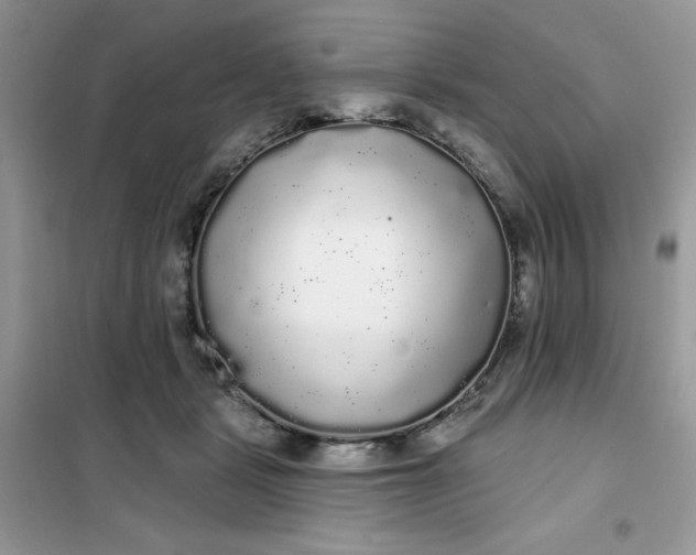 X0000101980461200808011103