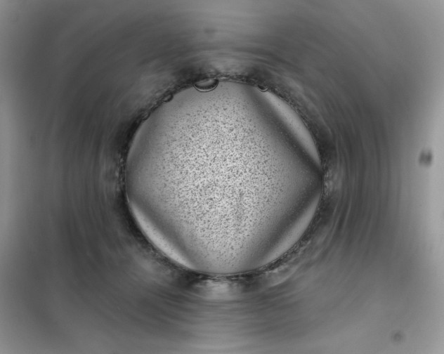 X0000101980464200808011104