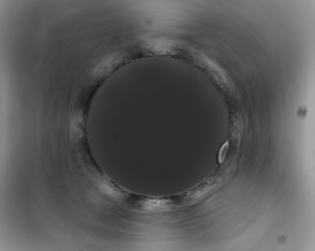 X0000101980465200808011104