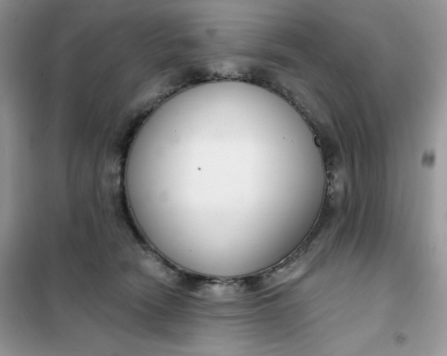 X0000101980466200808011104