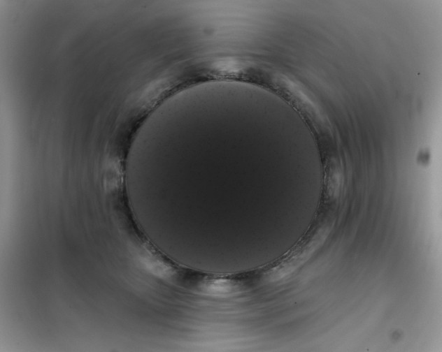 X0000101980467200808011104