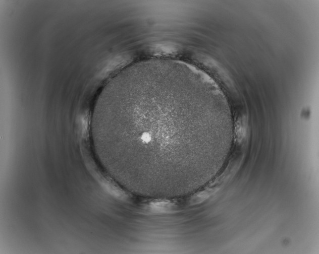 X0000101980468200808011104