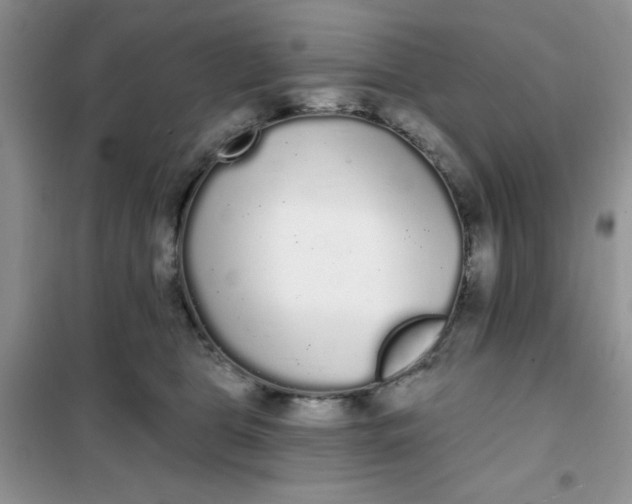 X0000101980469200808011104