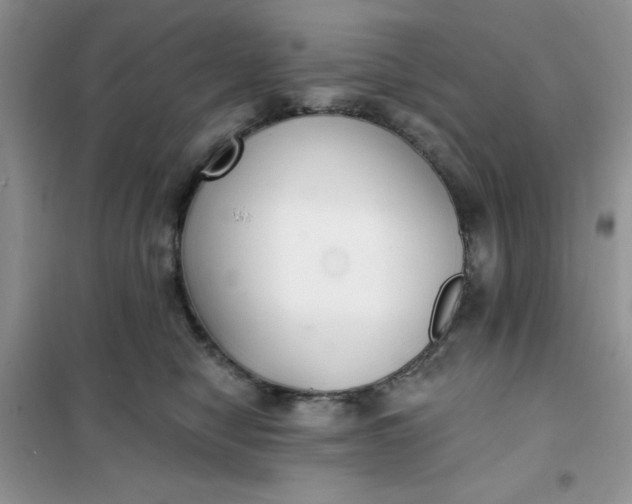 X0000101980470200808011104