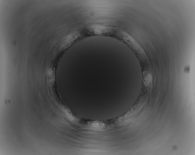 X0000101980471200808011104