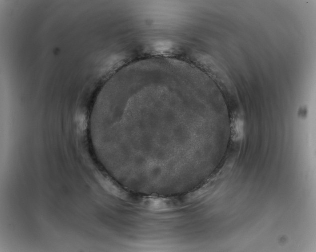 X0000101980472200808011104