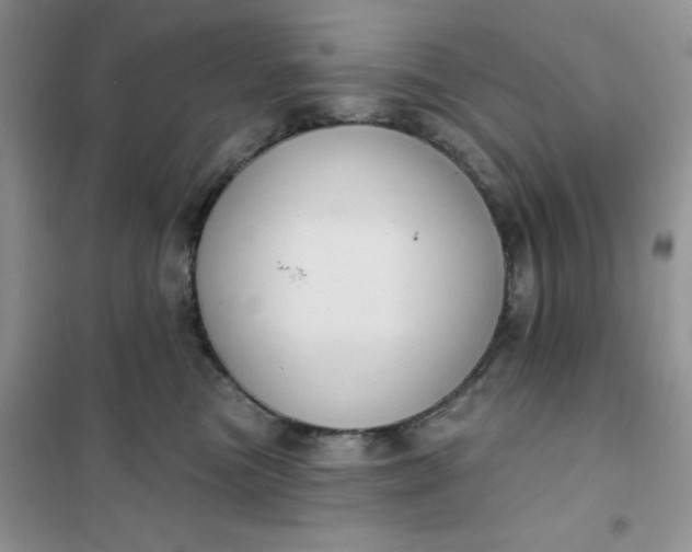 X0000101980473200808011104