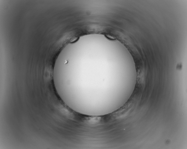 X0000101980474200808011104