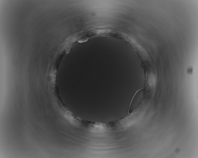 X0000101980475200808011104