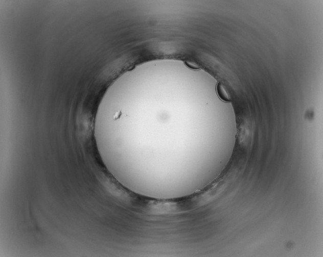 X0000101980476200808011104