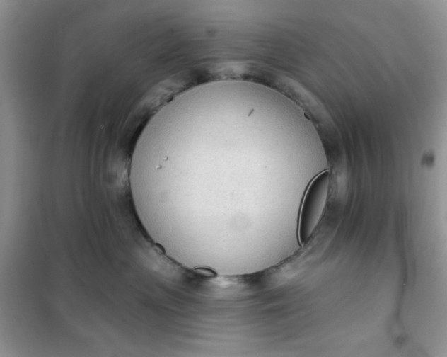 X0000101980477200808011104