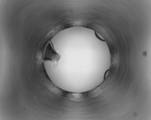 X0000101980478200808011104