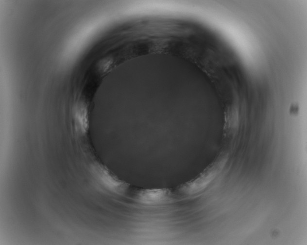 X0000101980479200808011104