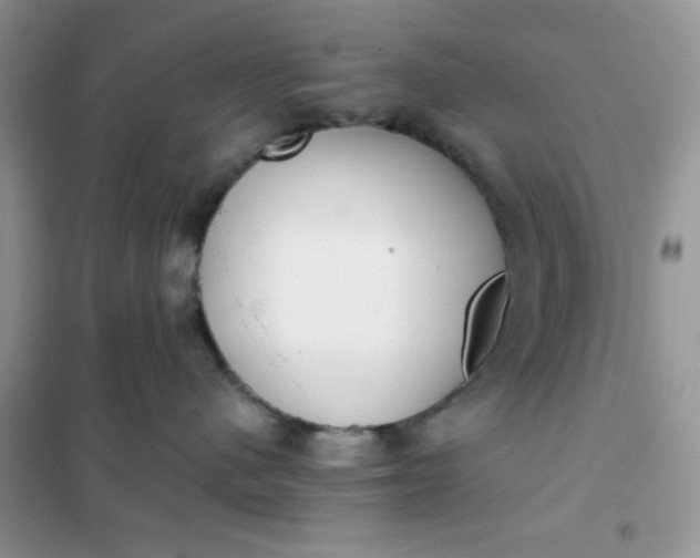 X0000101980480200808011104