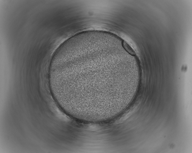 X0000101980481200808011103