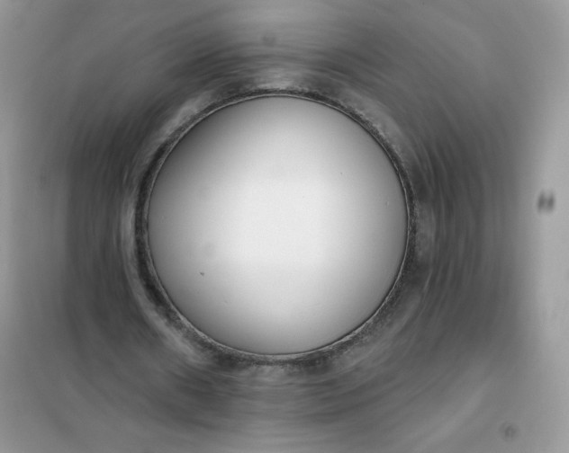 X0000101980482200808011103