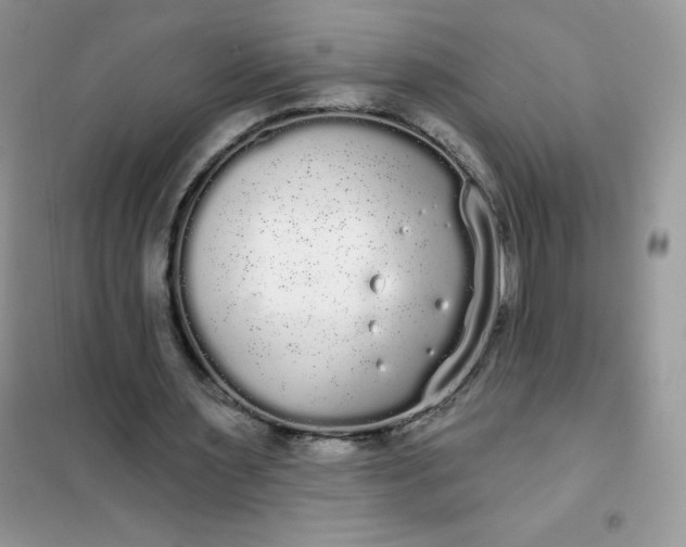 X0000101980483200808011103