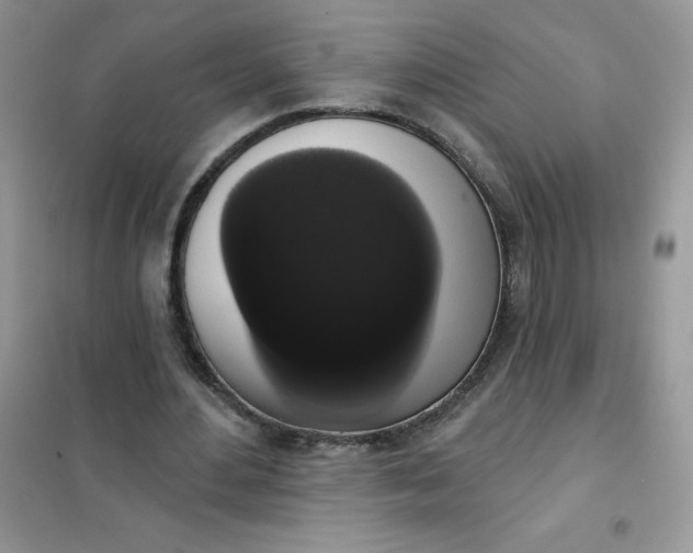 X0000101980484200808011103