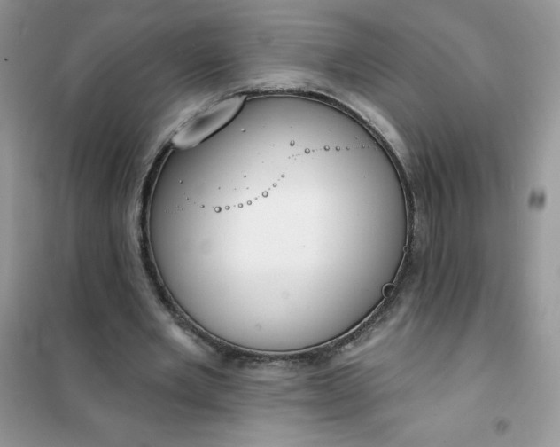 X0000101980485200808011103