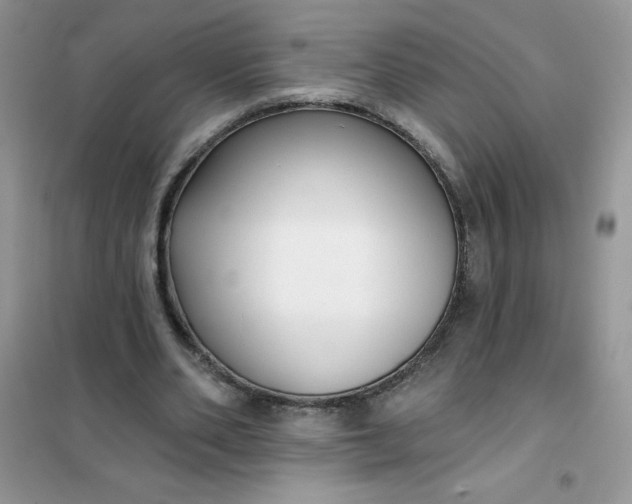 X0000101980486200808011103