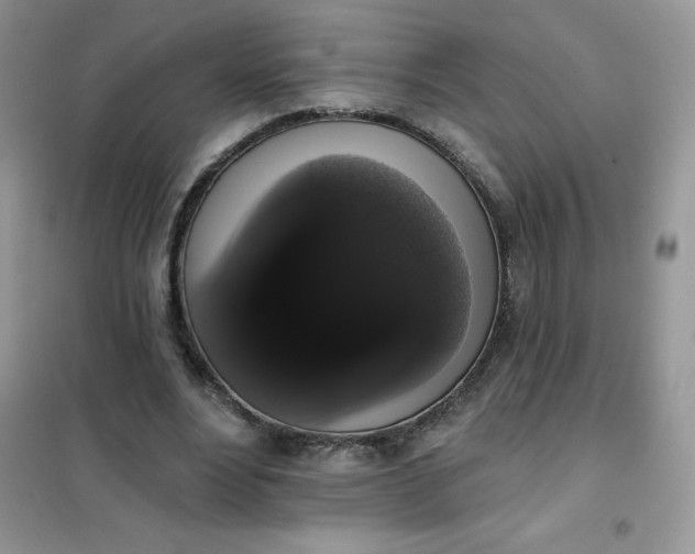 X0000101980488200808011103