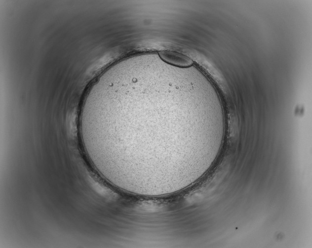 X0000101980489200808011103