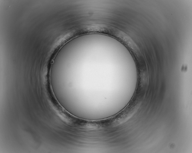 X0000101980490200808011103