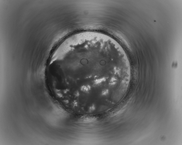 X0000101980491200808011103