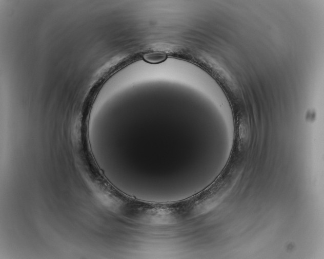 X0000101980492200808011103